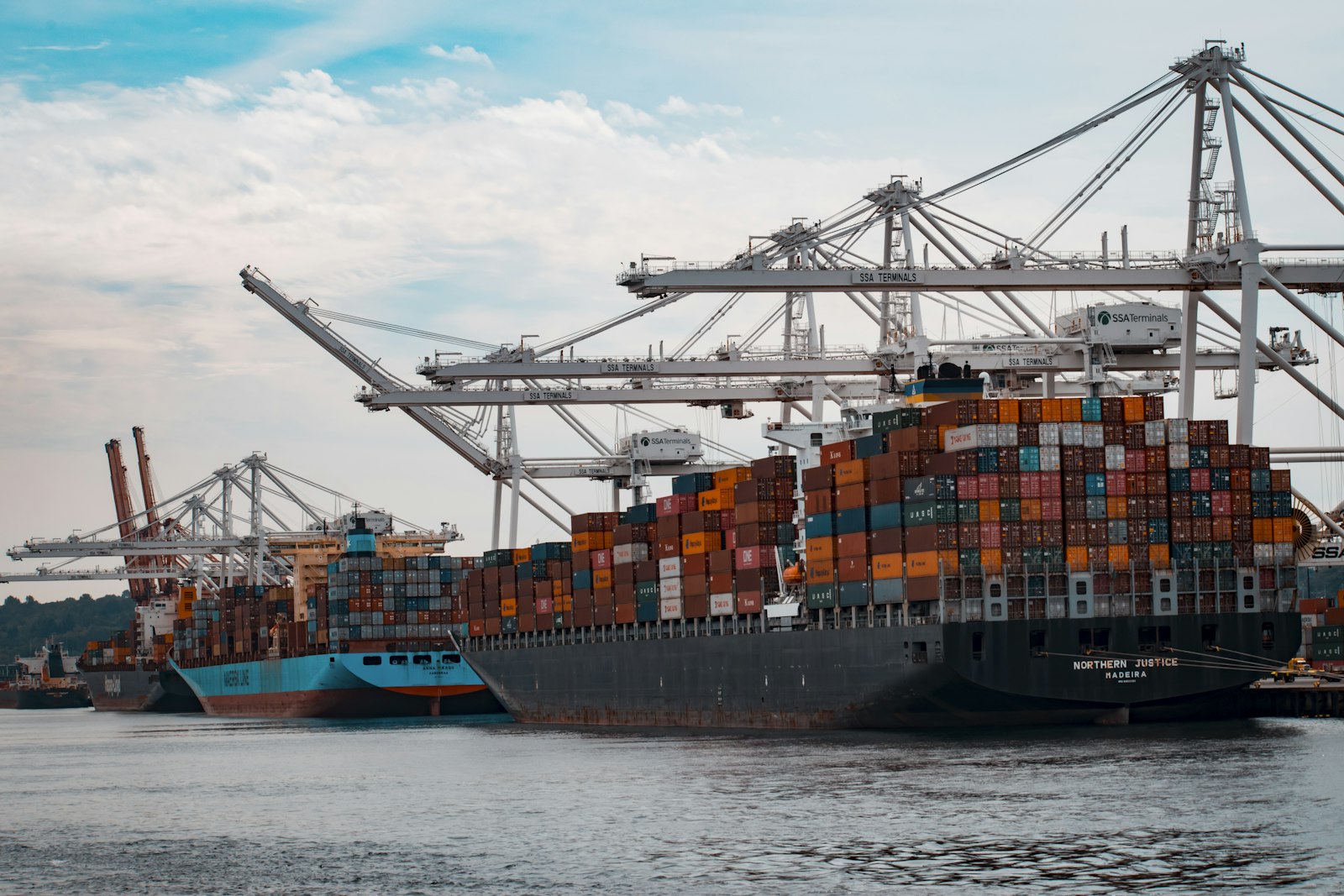 Container ships and gantry cranes at an international shipping terminal